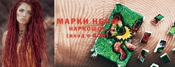 ECSTASY Белокуриха