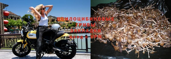 амф Беломорск