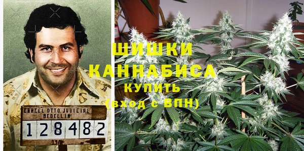 ECSTASY Белокуриха