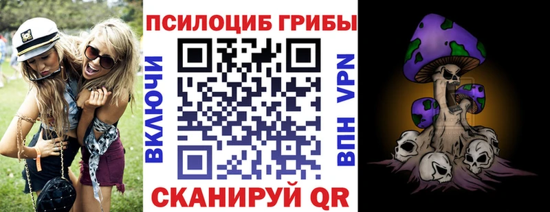 Псилоцибиновые грибы GOLDEN TEACHER  Благовещенск 